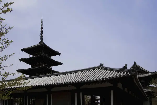 Plano Escénico Hermoso Santuario Japonés Antiguo — Foto de Stock
