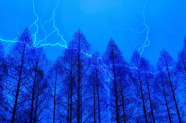 Mavi şimşek çarpıcı bir şekilde karanlık, siluetli ağaçların üzerinde parlıyor..