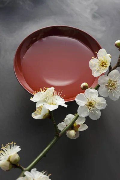 Çiçekli Erik Ağacı Dalı Sake Ile Geleneksel Japon Fincanı — Stok fotoğraf