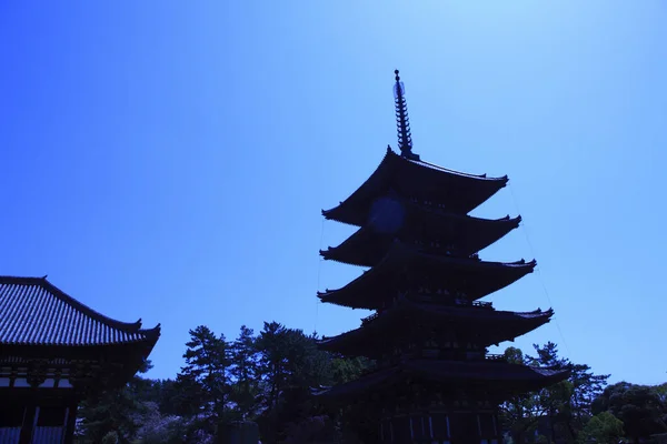 Bild Des Schönen Kofuku Tempels Reisekonzept — Stockfoto