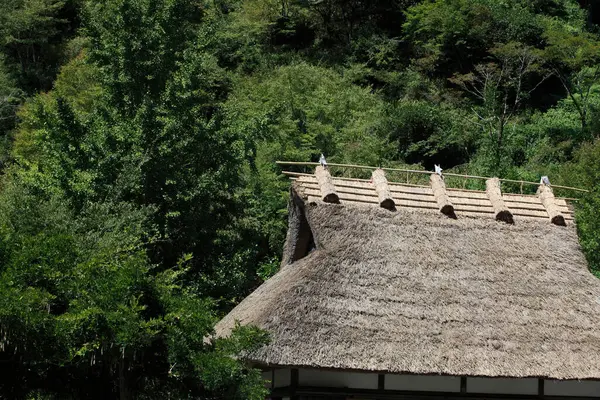 日本传统日本房子的茅屋 — 图库照片