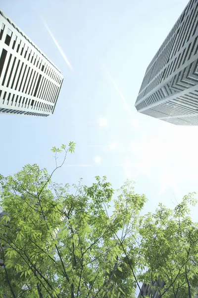 Zielone Gałęzie Drzew Nowoczesnymi Budynkami Biurowymi Widok Dno — Zdjęcie stockowe