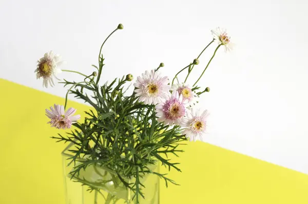 Vazoda Bir Buket Taze Çiçek Çiçek Kompozisyonu — Stok fotoğraf