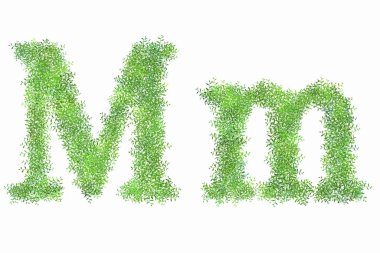 Beyaz arka planda çiçek yeşili alfabe harfleri, M harfi.