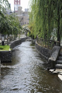 Ağaçlı şehir nehri manzarası  