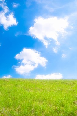 Yeşil çayır ve bulutlu mavi gökyüzü