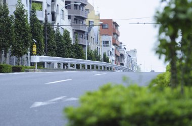 Asfalt yol ve ağaçlı boş cadde