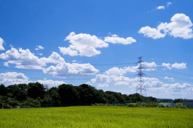 Parkın güzel manzarası