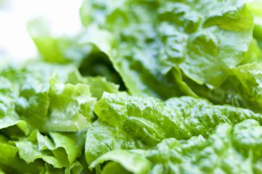 Bir çatallı marul salatası.