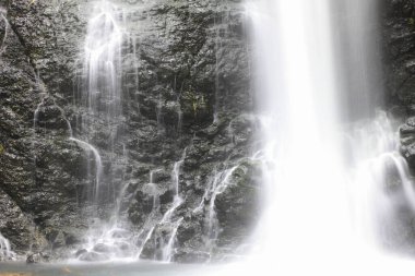 Ormandaki şelalenin güzel manzarası               