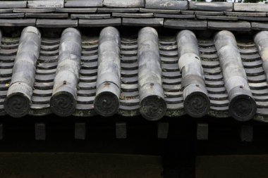 Parktaki eski çatı