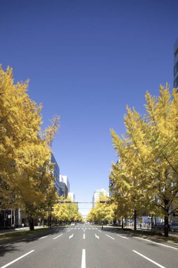 şehir mimarisi arka plan görüntüsü, modern şehir 