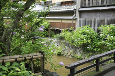 Bahçedeki küçük bir derenin üzerinde küçük bir köprü