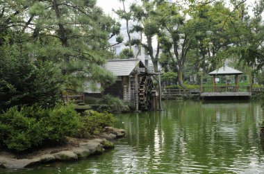 Gölün kenarındaki sakin bir Asya parkı, yaz güneşinde yakalanmış..