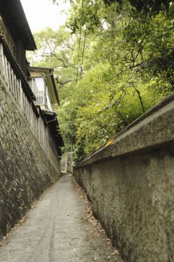 Dar şehir caddesinin yeşil ağaçlarla çevrili güzel manzarası  
