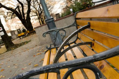 Sonbahar parkında ahşap bank