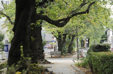 Eski kasabadaki yeşil şehir