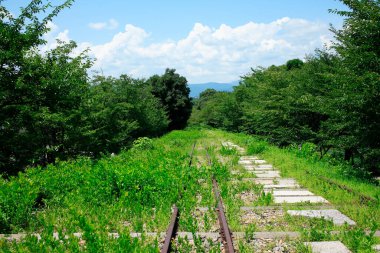 Ormandaki eski tren yolu.