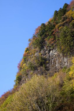 Ağaçlı ve mavi gökyüzü olan dağ manzarası