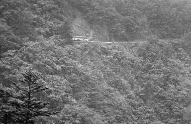 Dağ ormanındaki otobüsün siyah beyaz fotoğrafı