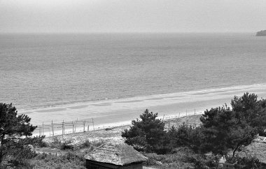 Güzel deniz kıyısının hava manzarası, siyah ve beyaz