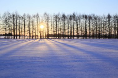 Karlı kış manzarası