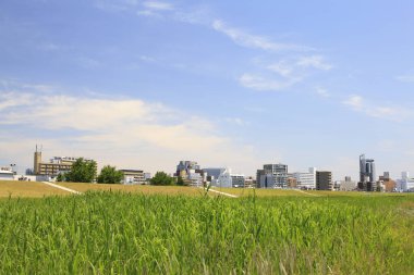 Japonya 'nın Osaka kentindeki yeşil bir parktan şehir merkezindeki apartmanlar. 