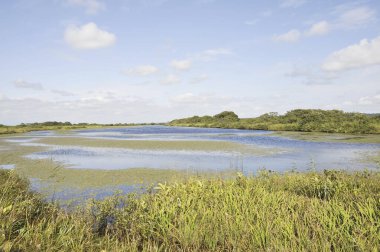 Yeşil dağlarda güzel bir göl manzarası 