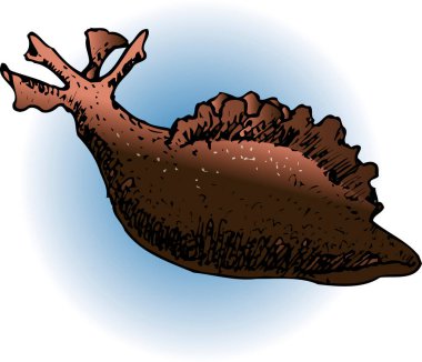 Büyük kahverengi balığın renkli çizimi 