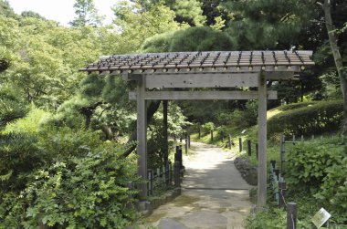 Tahta bahçe kapısı yemyeşil ağaçlarla çevrili.