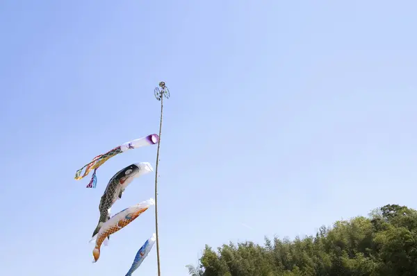 日本天空中的空气鱼风袜 — 图库照片