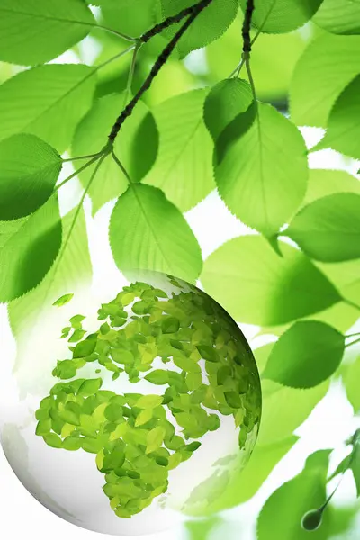 Frisch Grüne Baumblätter Und Transparenter Globus — Stockfoto