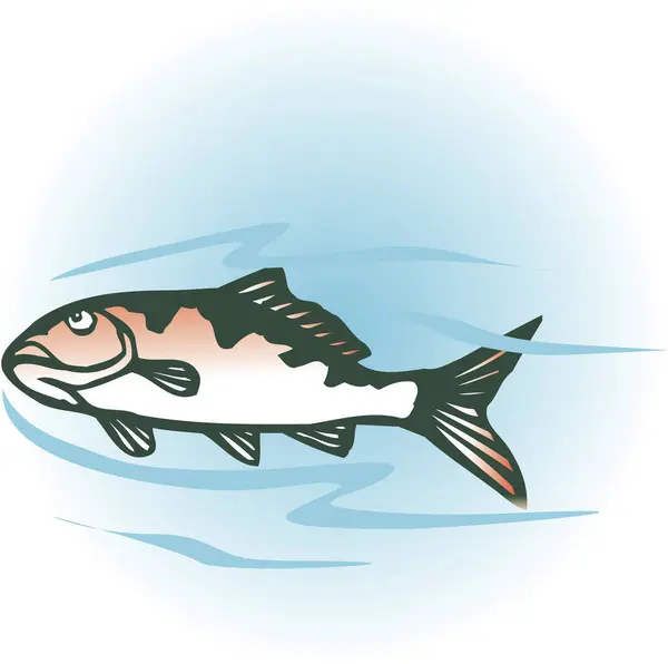 Stylized Cartoon Fish Illustration White — Stock Photo, Image