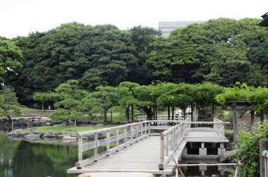 Kentte ahşap köprüsü olan yeşil park 