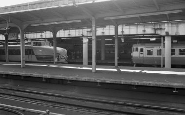 Bir tren istasyonundaki siyah beyaz fotoğraf..