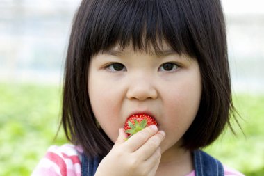 Çilek yiyen Asyalı çocuk portresi 