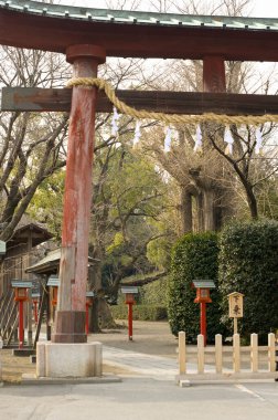 Parkta ağaçlarla çevrili geleneksel Japon mimarisi