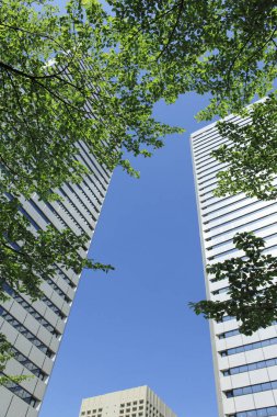 Yeşil yapraklı ağaçların alçak açılı görüntüsü ve kentsel şehirde uzun modern mimari     