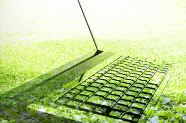 Canlı yeşil çimenler üzerinde dizüstü bilgisayarın silueti..