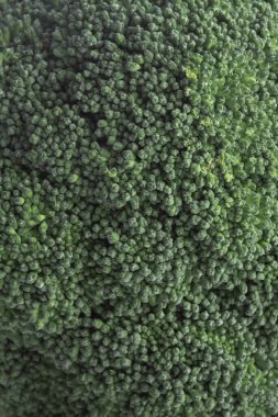 Beyaz arka planda taze bir brokoli..