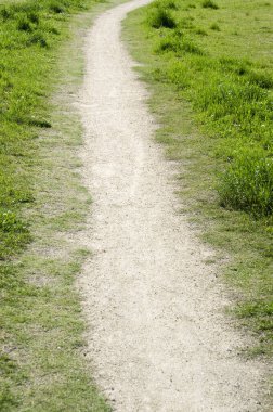 Yeşil parktaki patika