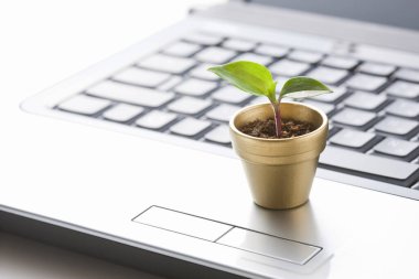 Beyaz arka planda yeşil bitkisi olan bilgisayar klavyesi.