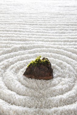 soyut zen çakıl dalgaları deseni ve yeşil yosun