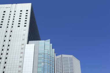 Tokyo, Japonya 'da binaları olan modern şehir manzarası