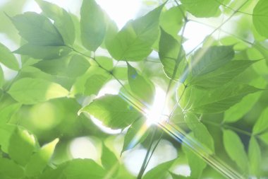 Su havaya düşer, arka plan bulanıklaşır. Soyut arkaplan 