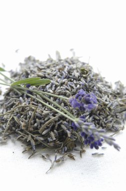 Beyaz arka planda taze lavanta çayı