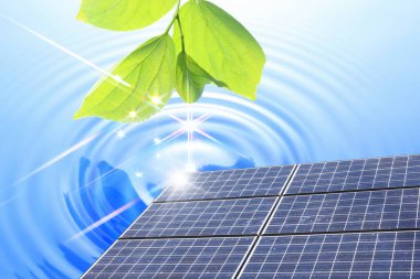 Arkaplanda yeşil bitki bulunan güneş enerjisi panelleri