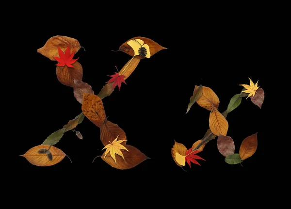 Abeceda Vyrobená Podzimních Listů Izolovaných Černém Pozadí Písmeno — Stock fotografie