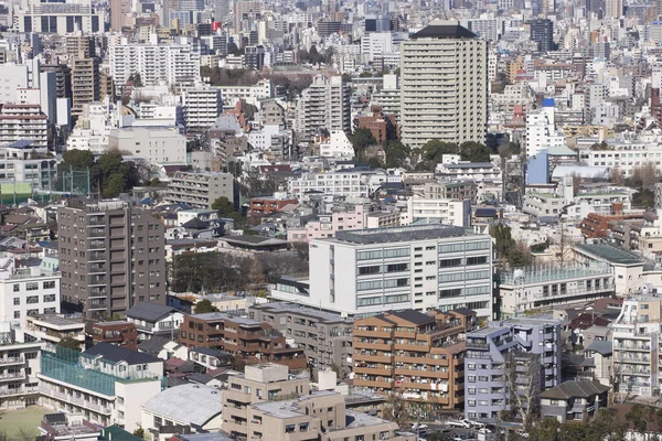 Luftfoto Tokyo Dagtimerne Japan - Stock-foto