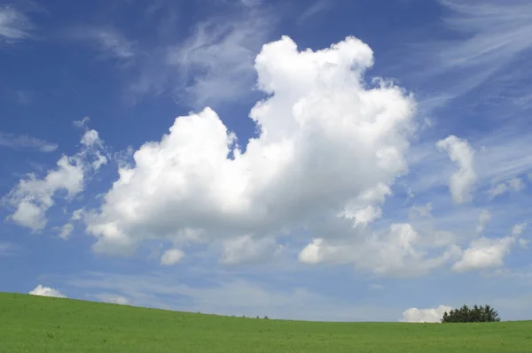Yeşil Tarlalı Güzel Manzara Bulutlu Mavi Gökyüzü — Stok fotoğraf